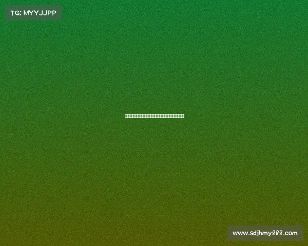 英超冠军球队荣誉之路：历史成就与未来挑战全解析